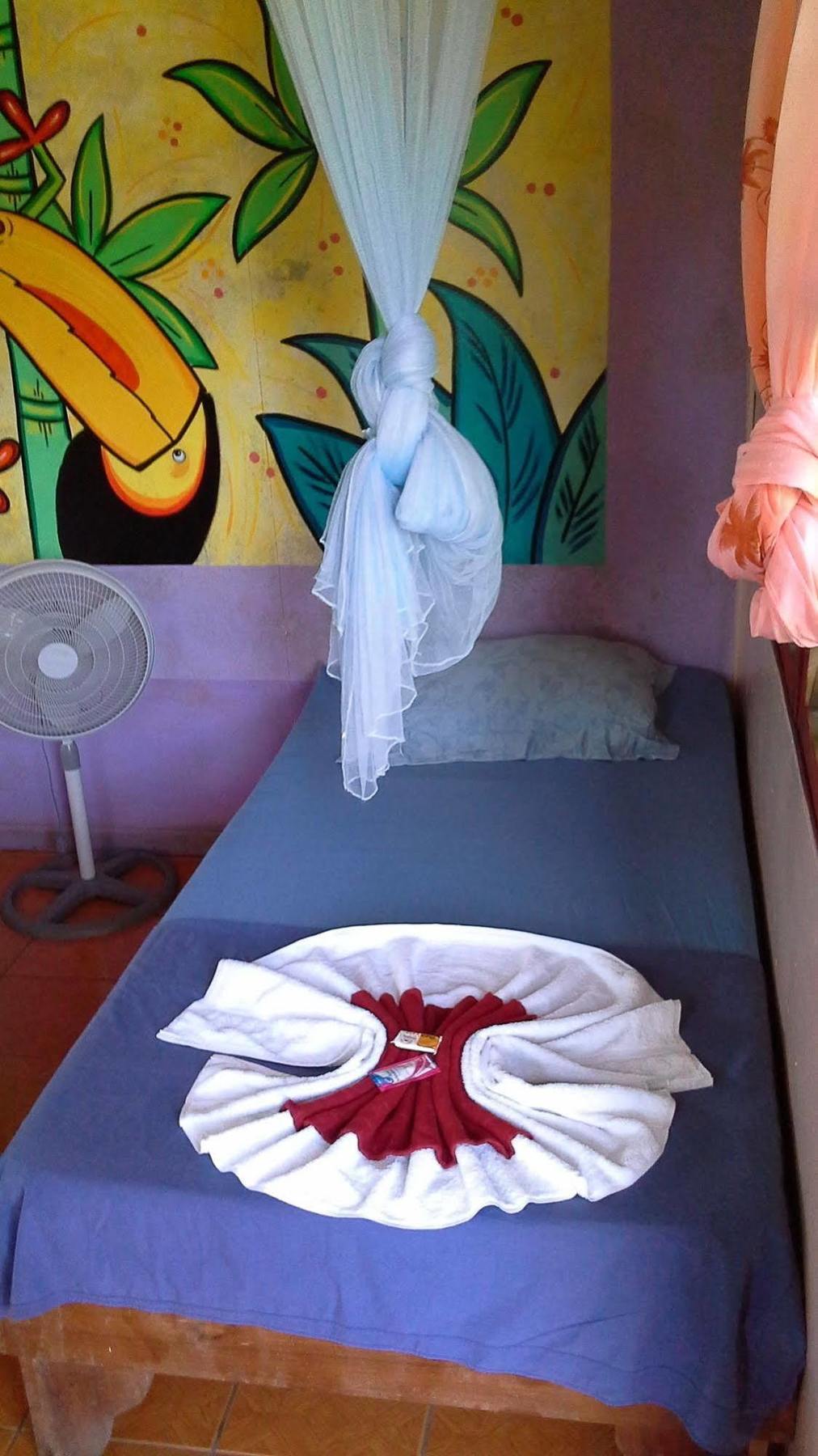 Cabinas Miss Miriam 1 Tortuguero Extérieur photo